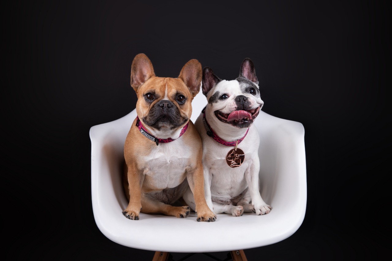 Nuestro negocio familiar, incluídas las mascotas